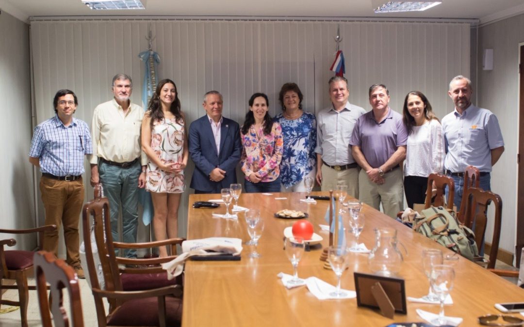 Trabajo conjunto con Universidad de Estados Unidos