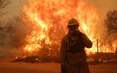 “El daño ambiental y económico de los incendios en Córdoba es incalculable”