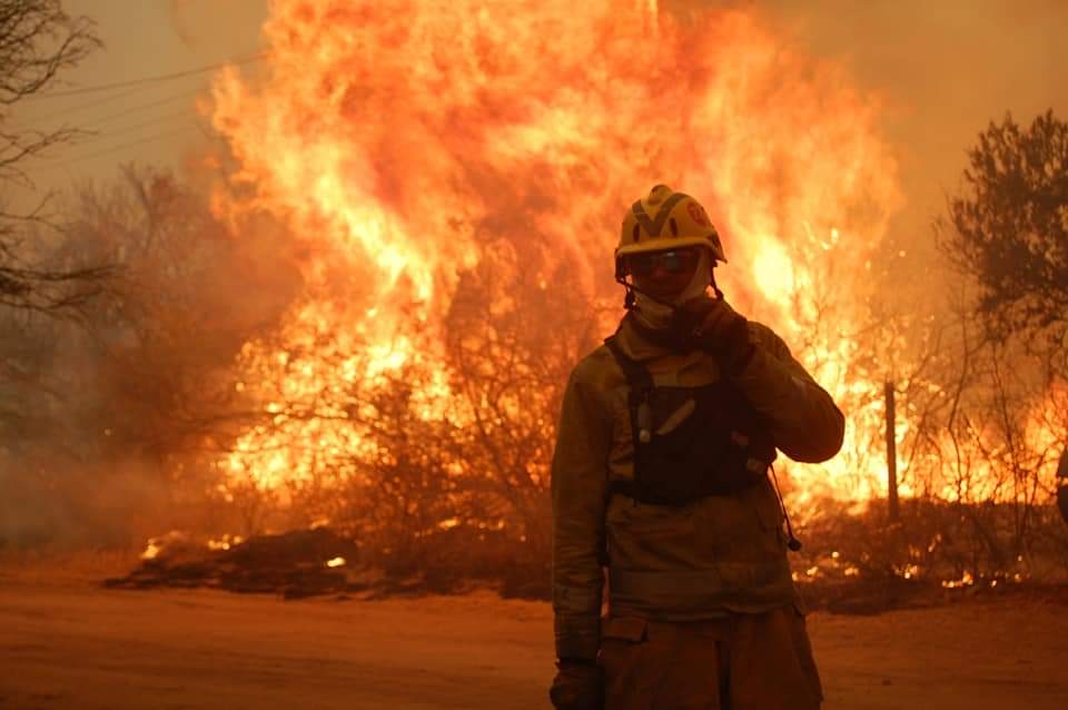 “El daño ambiental y económico de los incendios en Córdoba es incalculable”