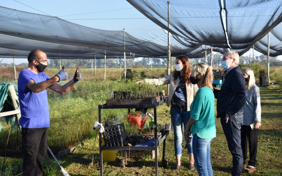 Vivero Regional: entrega de plantines a Villa María y Villa Nueva