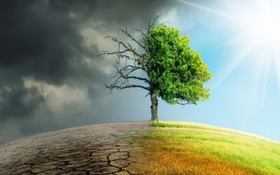 Formación en ambiente y aplicación de la “Ley Yolanda”