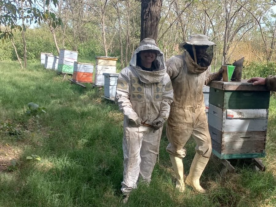 Docentes de Básicas impulsan la apicultura local
