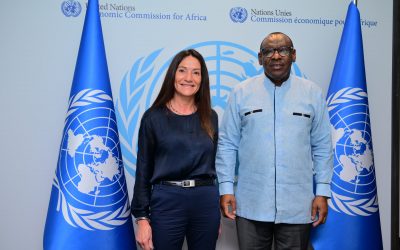 La UNVM en Naciones Unidas para África