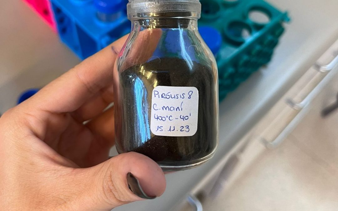 Innovación ambiental: biocarbones para remediar suelos