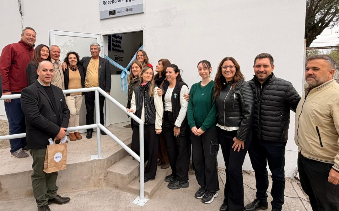 Veterinaria: Hospital Escuela sumó espacio de atención para pequeños animales